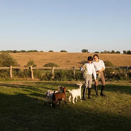 Gutshauszimmer Premium Doppel * Neu Gaarz